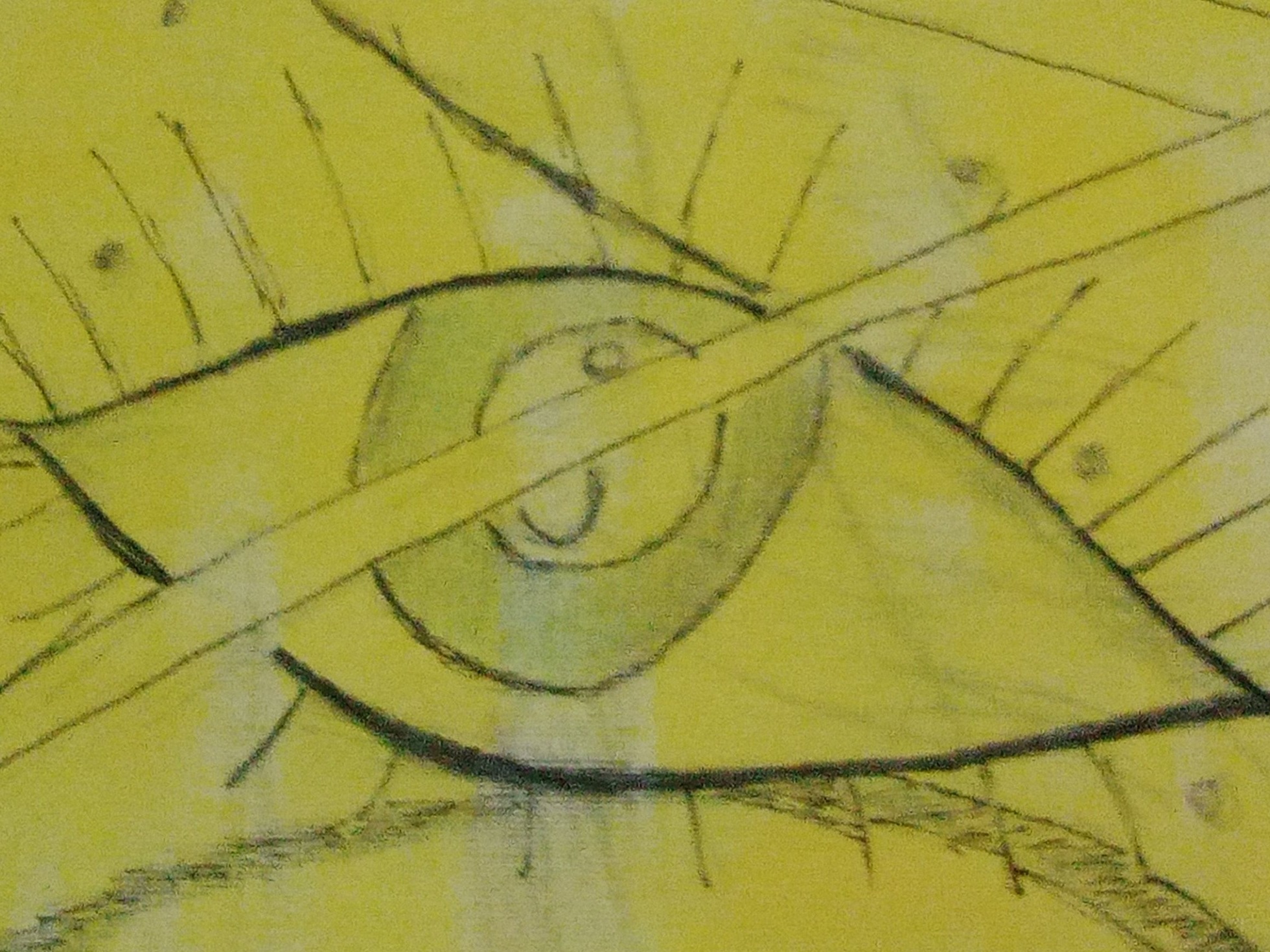 Eye